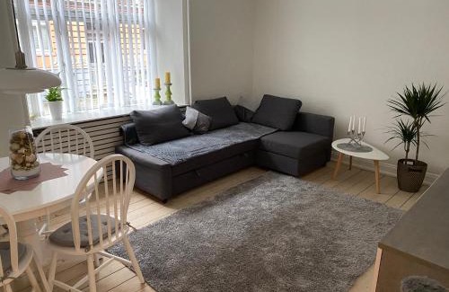 Aalborg Midtby Apartment | Carolina