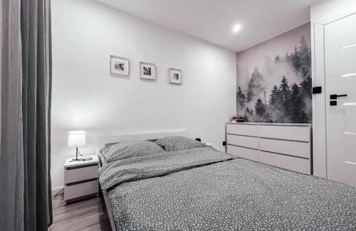 Szczytna Apartment | Carpe Diem