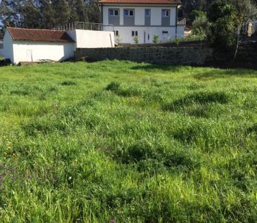 Cardielos House | Casa Alexandre 7