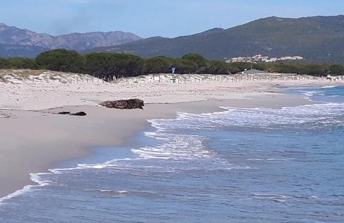 Budoni Apartment | casa Angy