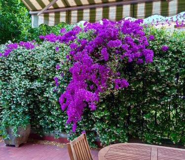 Aurelio Apartment | Casa Arianna