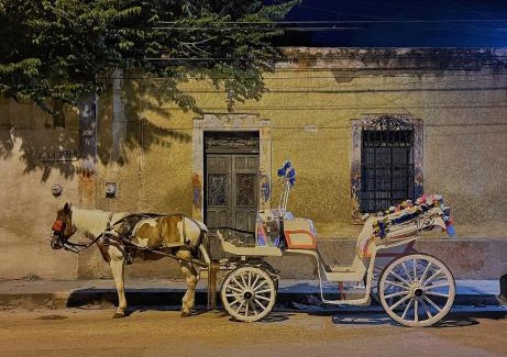 Centro Apartment | Casa Aurora Mérida, Centro Histórico