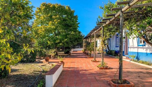 Alvito House | Casa Bungavilia - Roots of Alentejo