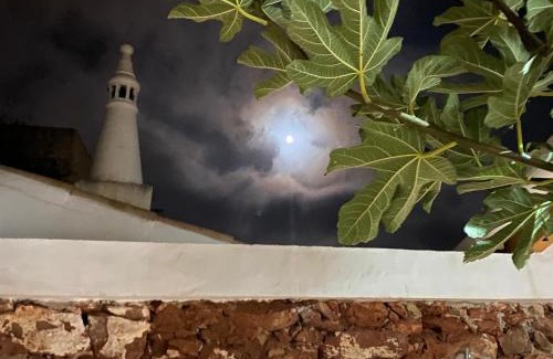 Figueira House | Casa da Figueira - Guest House