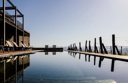Peso da Regua House | Casa da Quinta de Santa Cruz - Private Pool - Douro Valley - by MET