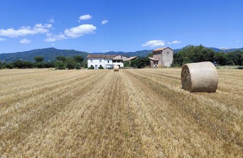 Sansepolcro House | Casa del Contadino
