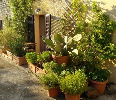Poderi House | Casa del sole