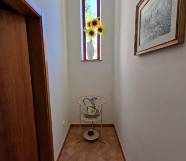 Paredes de Coura House | Casa do Cedro