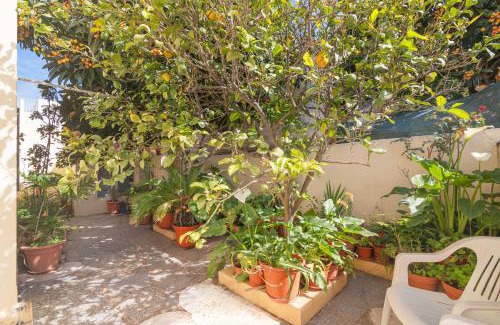 Estombar House | Casa Do Sol - Estombar Algarve