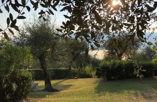 Villavetro House | Casa Elisa