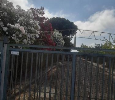 San Nicola Arcella Apartment | Casa Ettore