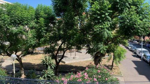 Rezza Apartment | Casa Europa