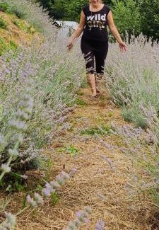 Giubiasco Bed & Breakfast | Casa Fiorita