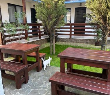 Jupiter House | Casa Florenta