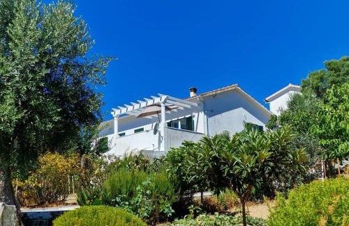 Vila de Rei House | Casa Grande Abrunheiro Grande