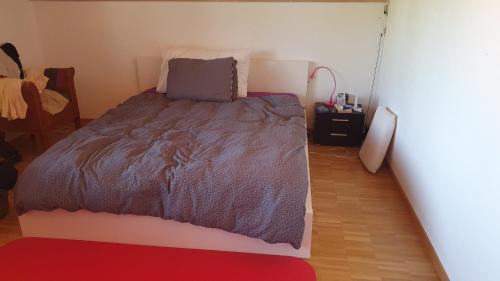 Kloten Apartment | Casa Hame