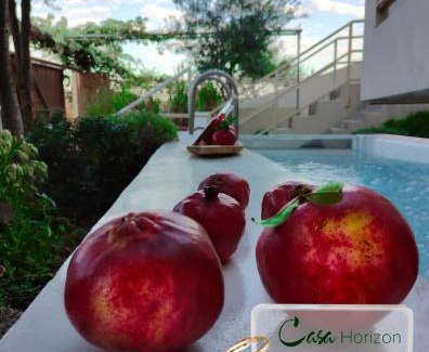 Ermionida Villa | Casa Horizon