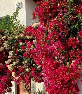 Santa Maria Maior Ski Chalet | Casa ideal para famílias com vista mar desafogada