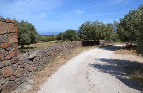 Dorgali House | Casa indipendente immersa nel verde con vista mare