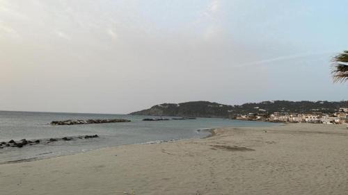 Forio Apartment | casa l'olivo