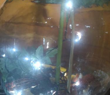 Tahal House | Casa La Colina Mandarina II Casa de madera