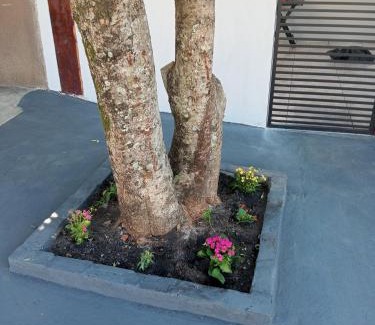 Bonito House | Casa Luna da Boa vista