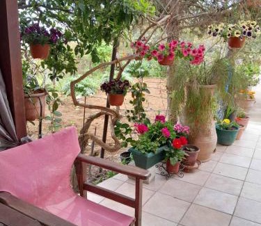 Pitharion House | Casa Matzurana