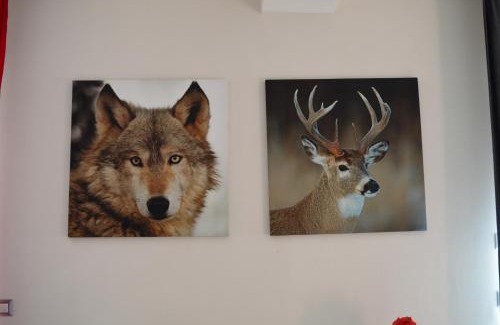 Croveo House | Casa Morena