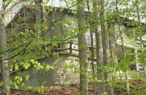Castel del Piano Apartment | Casa nel bosco alle Macinaie