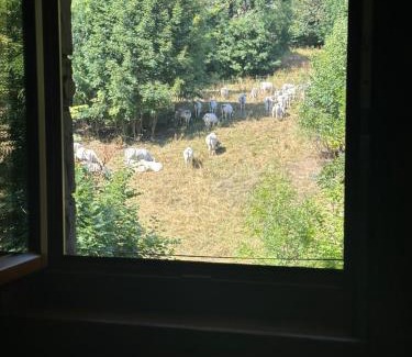 Limonetto Apartment | Casa Olivera