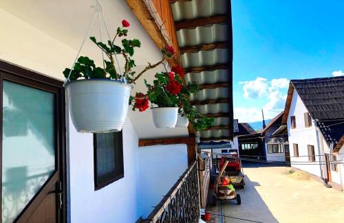 Viseu de Sus House | Casa Paul