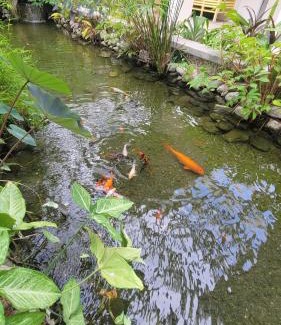 Portmore Apartment | CASA PORS Beach Front Apartment with security, pool &jacuzzi