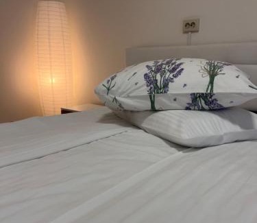 Sinaia Apartment | Casa SEMA