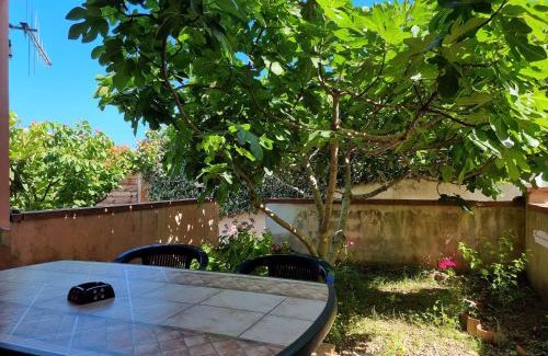 Tanaunella Apartment | Casa Su Puntu
