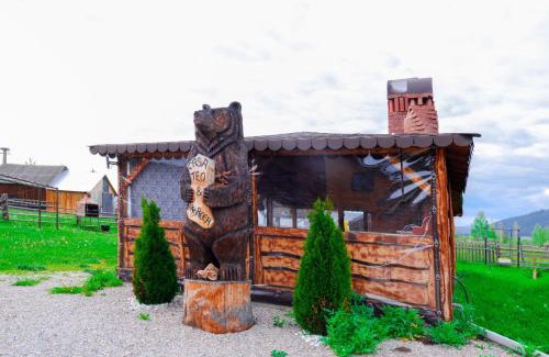 Saru Dornei House | Casa Teo&Andreea