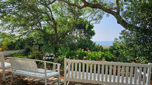 Ustica Bed & Breakfast | Casa Terranova
