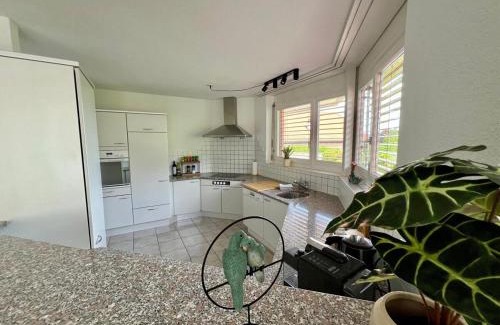 Luscherz Apartment | Casa Tricolina - Lake Life am Bielersee