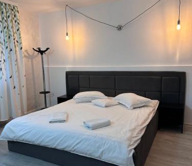 Busteni Villa | Casa Valentino