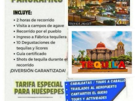 Tequila House | Casa VILLA CUERVO PARA 21 PERSONAS