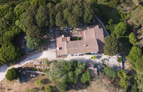 Lourinha House | CASAL DA SERRANA nFamilly, Nature, Privacy, Petfriendly, Beach, 1h from Lisbon