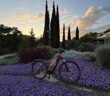 Saturnia Bed & Breakfast | Casale Terre Rosse Garden