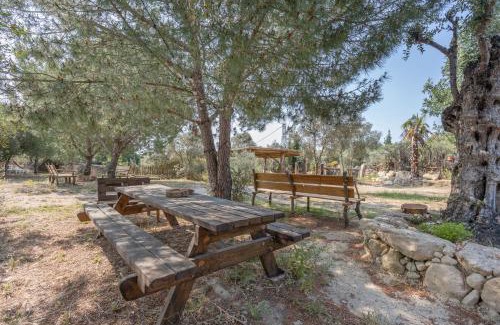 Jerez de la Frontera House | Casaleja, entre árboles y agua