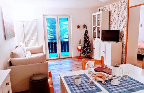 San Pellegrino Pass Apartment | Casina Alpina sugli impianti Passo S Pellegrino