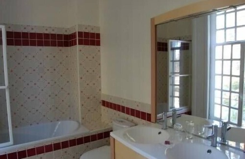 Lasse Other | Castle in the Loire Valley in a 30 ha historical park with heated pool