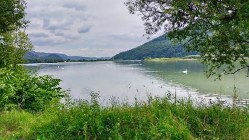 Pangarati Other | CASUTA La Amy