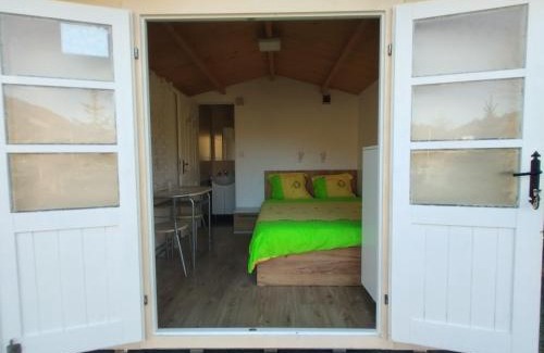 Pangarati Other | CASUTA La Amy