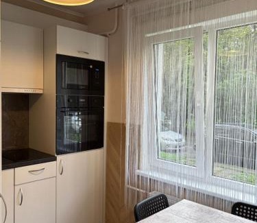 Purvciems Apartment | Cat Garden Classic Apartments Riga