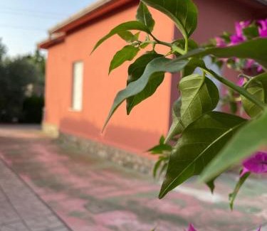 Santa Maria La Palma House | Cataleya Guest House