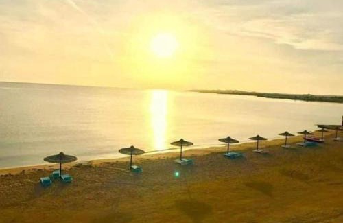 Village Road Hotel | Cecelia Resort - Studio chalet