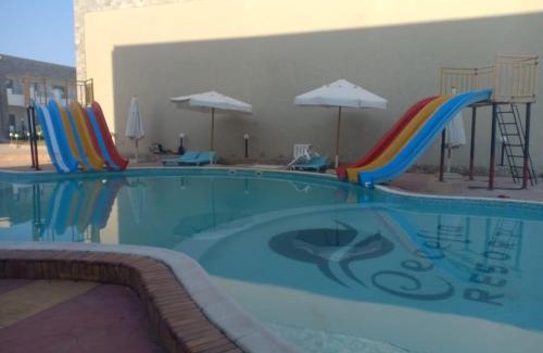 Village Road Hotel | Cecelia Resort - Studio chalet
